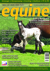 Equine - March 2015 issue